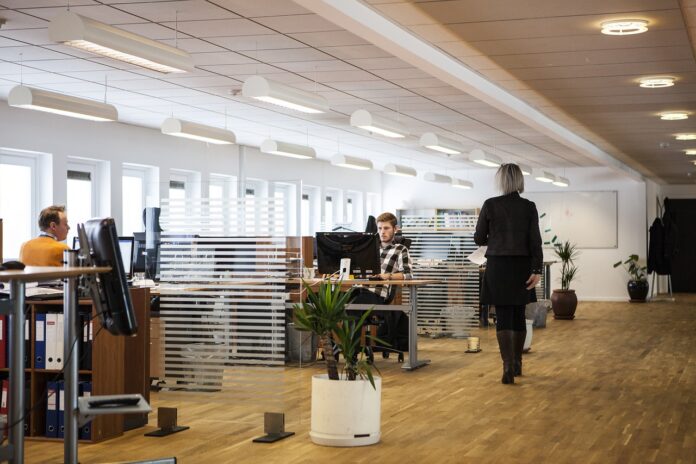 spółki LTD